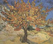 Vincent Van Gogh The Mulberry Tree (nn04) oil on canvas